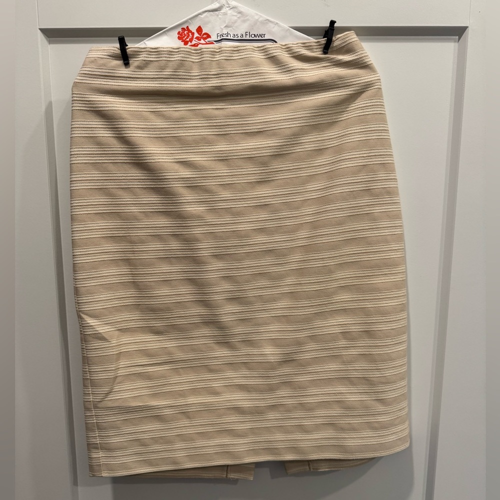 Ann Taylor Suit Skirt